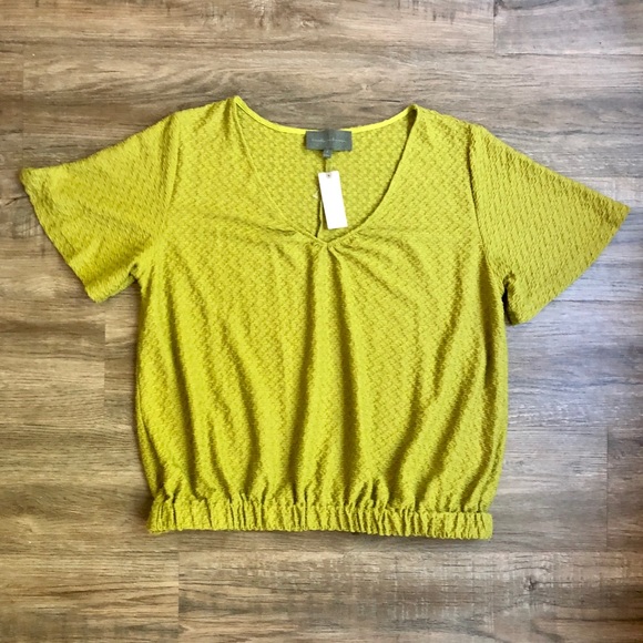 NWT Anthro Citron Sidonie V-neck Top - Picture 5 of 11